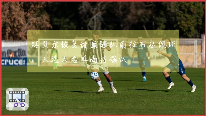 廷贝尔恢复健康随队前往布达佩斯，入选大名单尚待确认